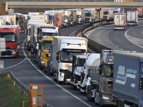 Slovačka privremeno zatvara 17 graničnih prelaza zbog slinavke i šapa