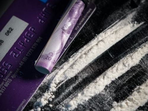 Slovenska policija zaplijenila više od 30 kilograma kokaina