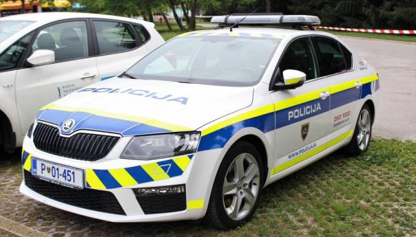 Slovenija: Ubio ženu pa sa šestero djece došao u policiju i prijavio zločin