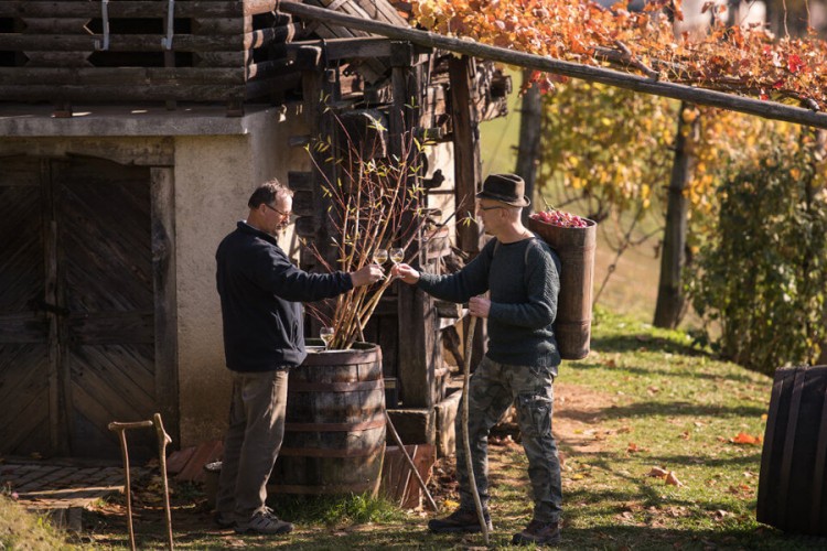 Slovenske 'zidanice' turistički hit u vrijeme koronakrize