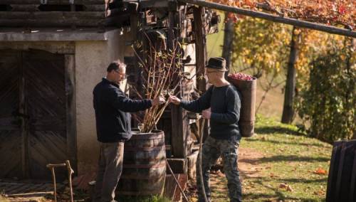 Slovenske 'zidanice' turistički hit u vrijeme koronakrize