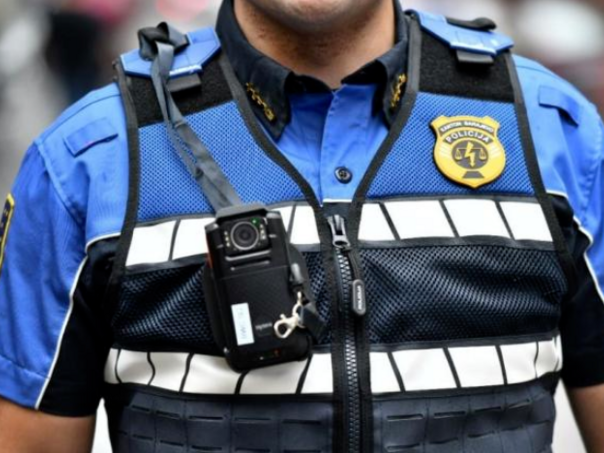 Slučaj nasilja nad Nives Arnautović: Prijavljeni policajci zbog propusta