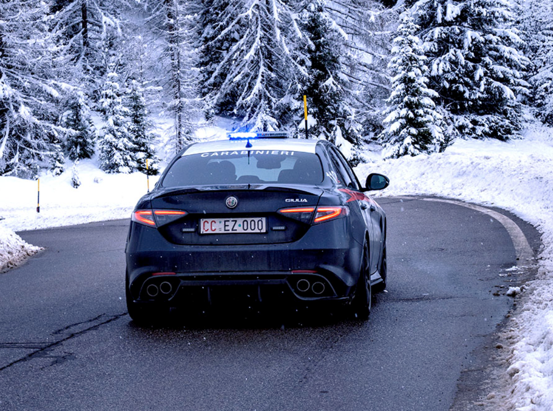 Slučaj šokirao Italiju: Pored nadvožnjaka nađeno 15 leševa pasa