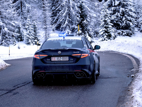 Slučaj šokirao Italiju: Pored nadvožnjaka nađeno 15 leševa pasa