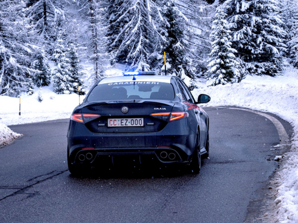 Slučaj šokirao Italiju: Pored nadvožnjaka nađeno 15 leševa pasa