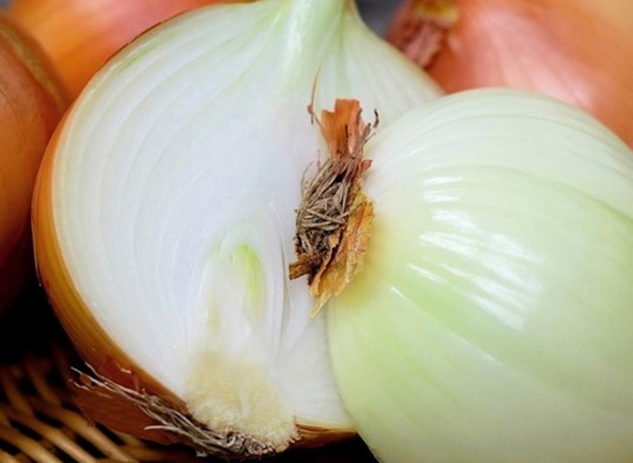 Smatran je svetim povrćem, jasno i zašto: Ovo su zdravstvene koristi luka
