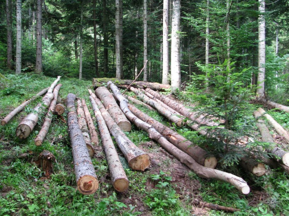 Smrtno stradao radnik "Šumarstva Prenj"