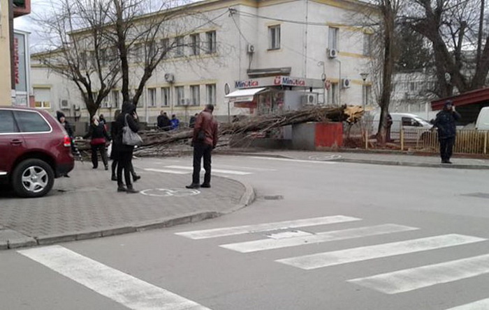 Snažan vjetar oborio stablo u centru Banje Luke