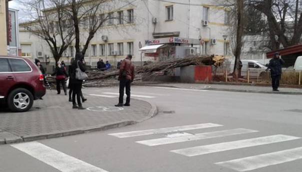Snažan vjetar oborio stablo u centru Banje Luke