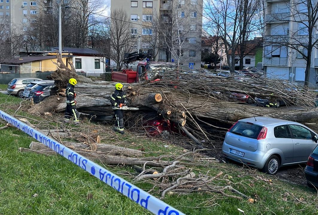 Snažan vjetar ruši stabla i crijepove s kuća