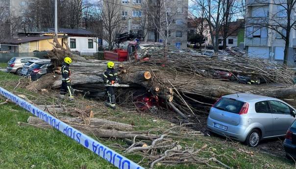 Snažan vjetar ruši stabla i crijepove s kuća
