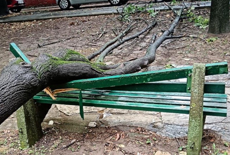 Snažna oluja pogodila Beograd: Oštećena vozila, poplavljene ulice...