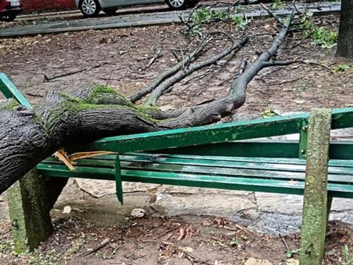 Snažna oluja pogodila Beograd: Oštećena vozila, poplavljene ulice...