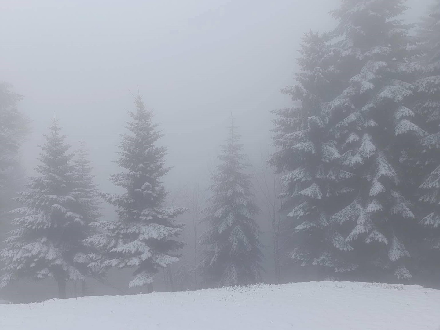 Snijeg u maju: Planine u BiH ponovo zabijelile, stiže nam mraz