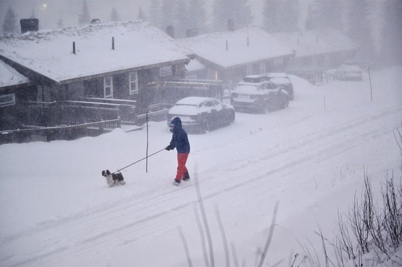 Sniježna oluja pogodila Švedsku: Više od 40.000 domaćinstava bez struje