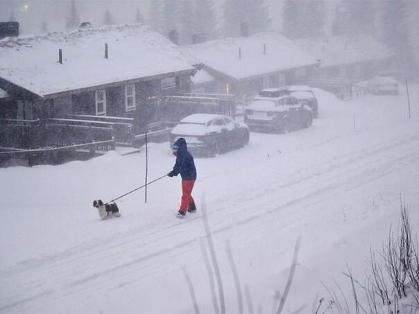Sniježna oluja pogodila Švedsku: Više od 40.000 domaćinstava bez struje
