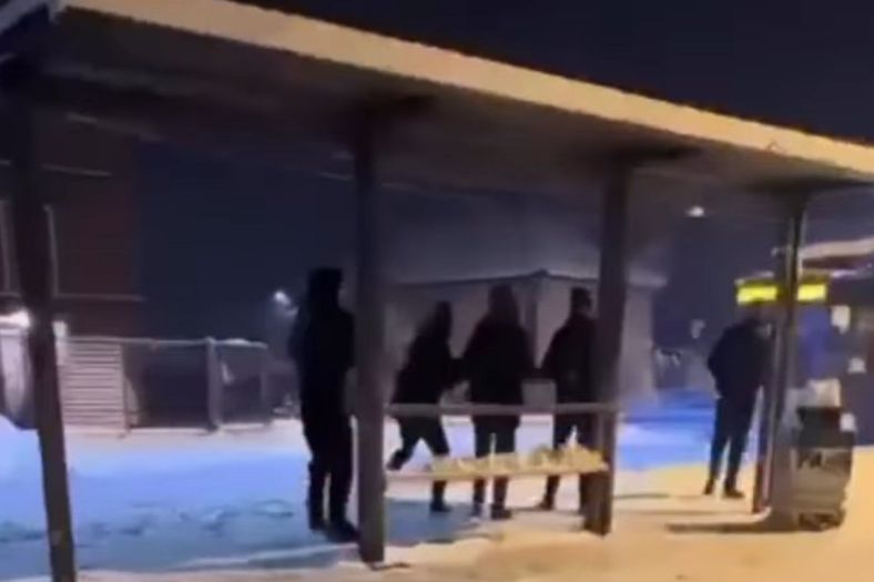 Snimak iz Srbije: Djeca grudvama gađala autobus, vozač izašao sa šipkom