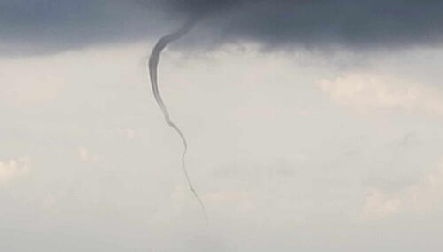 Snimljena pijavica kod Dubrovnika