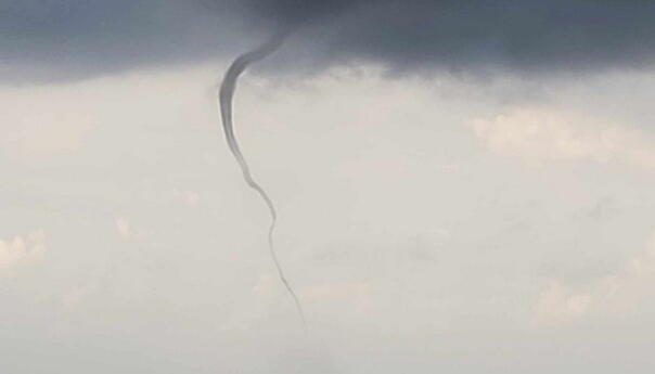 Snimljena pijavica kod Dubrovnika