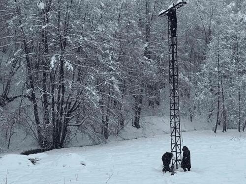 Snježni kolaps u Krajini: Desetine hiljada domaćinstava bez struje