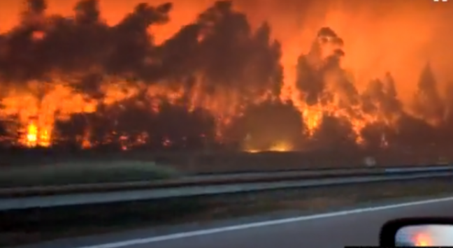 Šokantni video snimak požara u Portugalu, u Španiji umrlo najmanje 350 ljudi