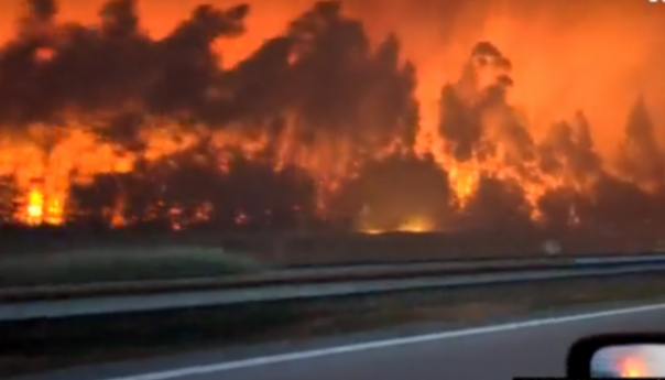 Šokantni video snimak požara u Portugalu, u Španiji umrlo najmanje 350 ljudi