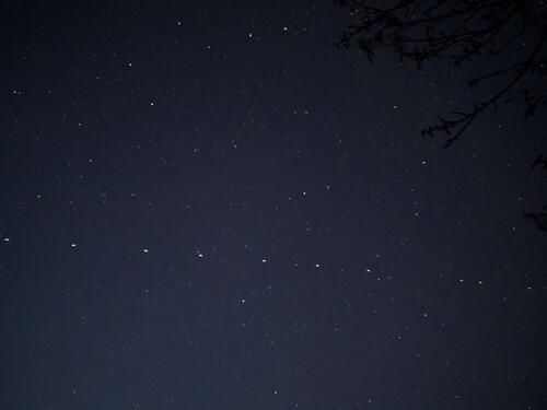 SpaceX planira milion novih satelita, astronomi zabrinuti