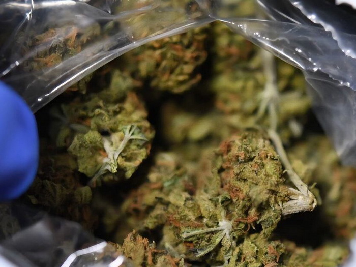 Španija zaplijenila 20 tona kanabisa skrivenog u hladnjači s paprikama iz Maroka