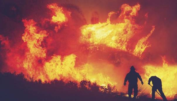 Španski vatrogasci zaustavili širenje prvog velikog šumskog požara u ovoj godini