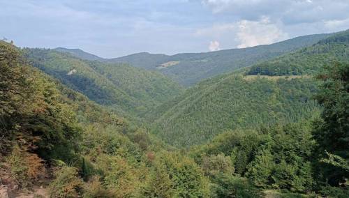 Spasioci došli do izgubljenog planinara na Tajanu