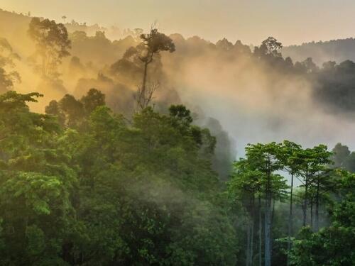 Spasioci tragaju za helikopterom koji je nestao na indonezijskom otoku Borneo