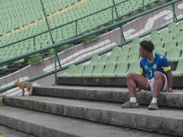 Speed stigao na Koševo, tamo ga dočekala lisica