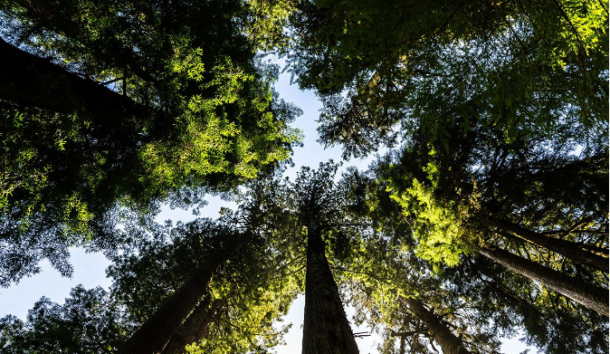 Srbija jedan od globalnih centara biodiverziteta Evrope