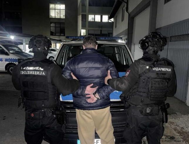 Srbija: Pretukao suprugu pa motornom pilom ubio psa