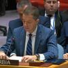 Srbija u UN-u tražila povlačenje Rezolucije o Srebrenici, Hrvatska dala podršku