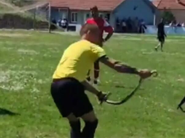 Srbija: Zmija prekinula utakmicu i dva puta ugrizla sudiju