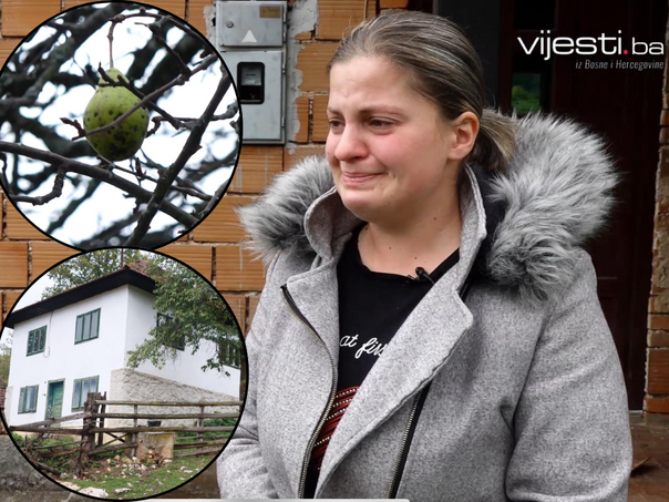 Srceparajući oproštaj: Halidu smo u zadnju posjetu odnijeli njegovu krušku, to mu je bilo kao cijeli svijet