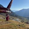 Srušio se avion u Alpama, ima poginulih