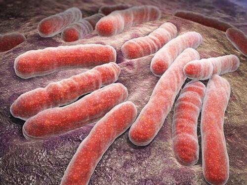 Šta je meningokokna sepsa od koje je preminulo dijete iz Visokog