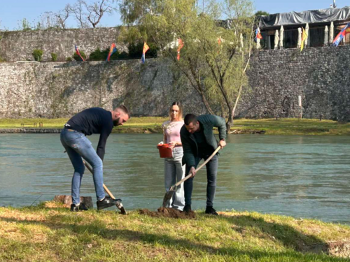 Ko Vrbasu reže vrbe: Mladi zasadili nova stabla nakon sječe starih