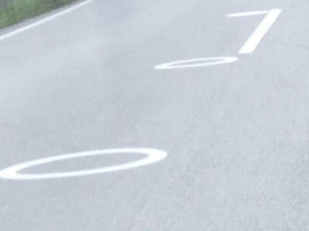 Šta predstavljaju krugovi na cesti koje je uvela Austrija