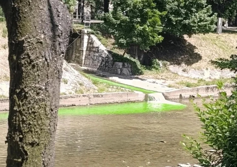 Šta se zeleni u Miljacki? Nije ekološki incident