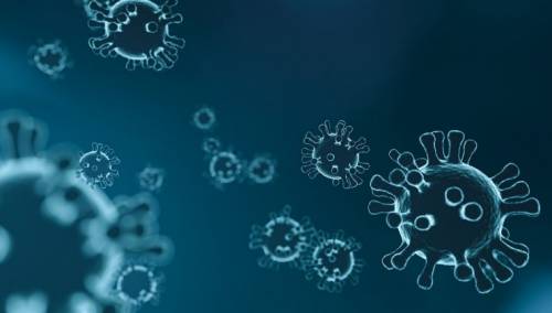 Šta učiniti pri zarazi fluronom, hoće li istovremenom zarazom bolest biti jača?