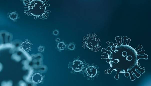 Šta učiniti pri zarazi fluronom, hoće li istovremenom zarazom bolest biti jača?