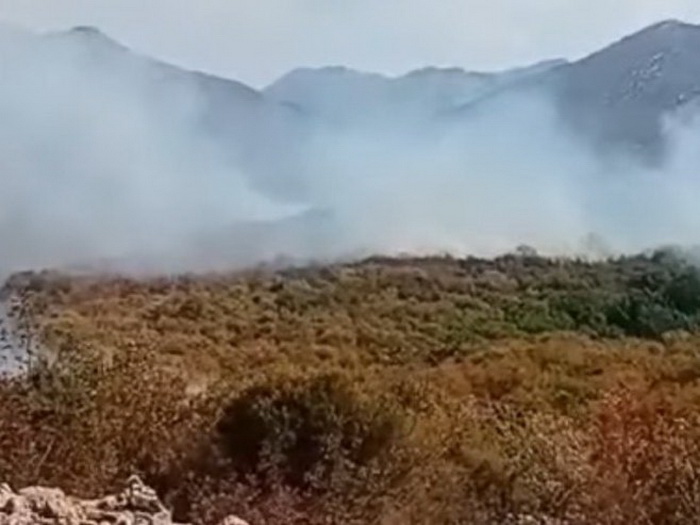 Stabilno na požarištima kod Trebinja