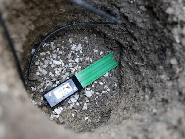 Stabla koja sama kažu kada su žedna: Beč testira nove pametne senzore