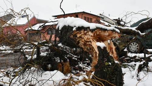 Stabla padala na vozila, građani bez struje