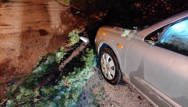 Stabla padala po vozilima nakon olujnog nevremena u Mostaru