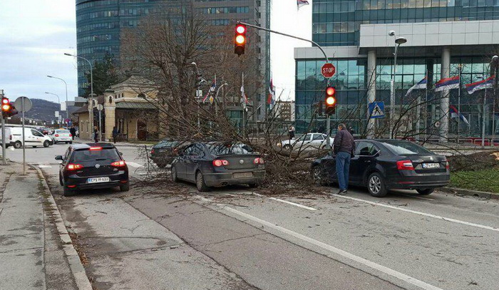 Stablo palo na dva vozila u Banjaluci