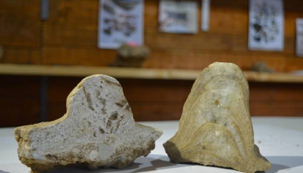 Semir Osmanagić tvrdi: Otkriće stoljeća za BiH i cijeli Balkan